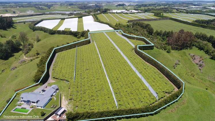 471b Old Coach Road Paengaroa_1