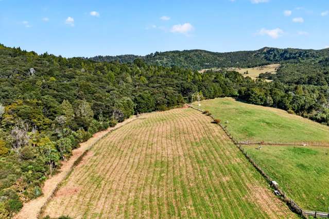 106 Te Henga Road Waitakere_4