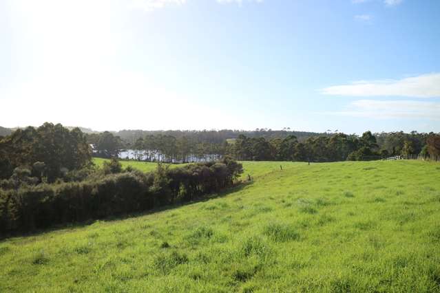 292 Onekura Road Kerikeri Surrounds_1