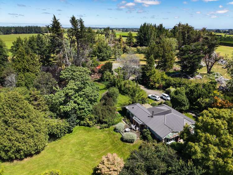 251 Rakahouka Hedgehope Road Mabel Bush_10