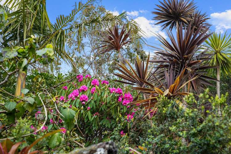 40a Duncansby Road Stanmore Bay_28