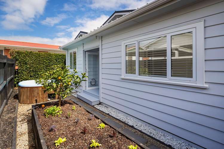 2 Harlston Road Mount Albert_29