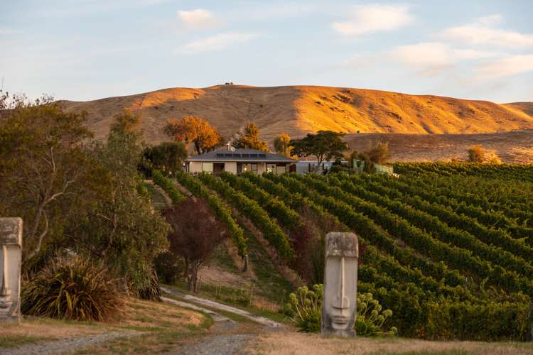 193 Wrekin Road Fairhall Marlborough Rural Property For Sale