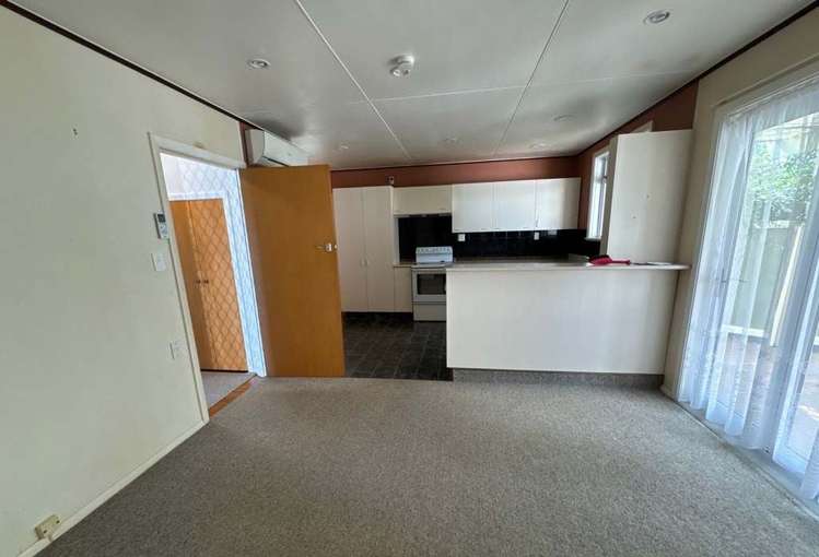 3 Newcastle Street Hokowhitu_3