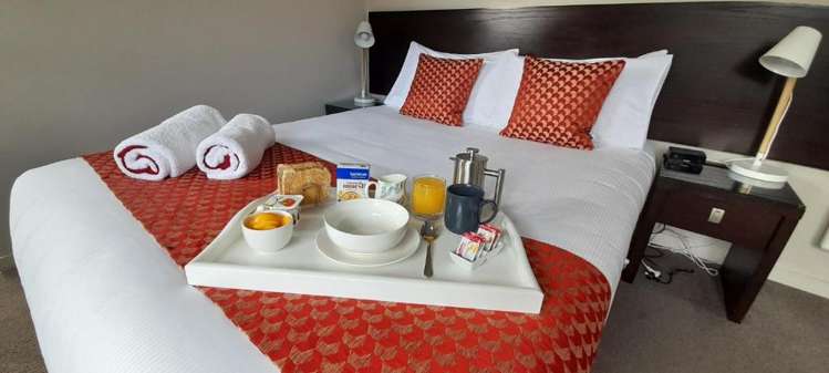 Dunedin Palms Motel Dunedin Central_6