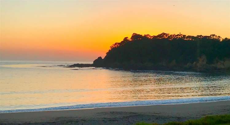 24 Mcgregor Street Taiharuru_21