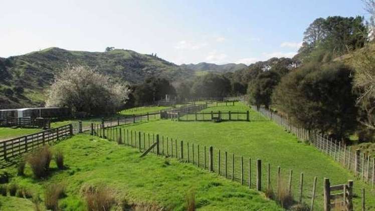 357 Summerhill Road Hinakura_10