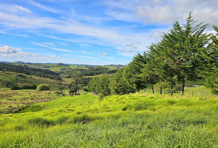 Lot lot 2 Koutu Loop Road Opononi_9