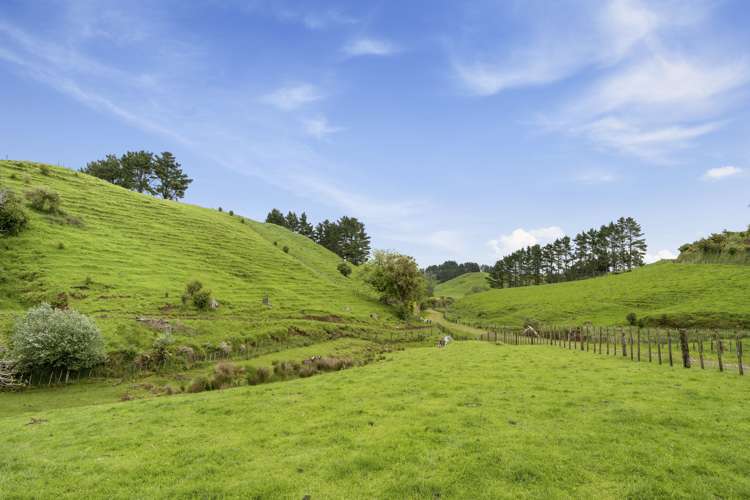 347 Standish Road Stratford_22