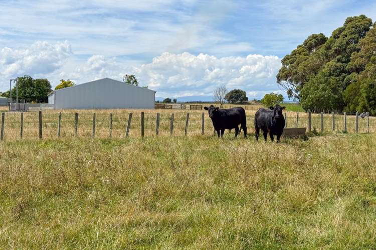 108 McKays Line Cheltenham_18