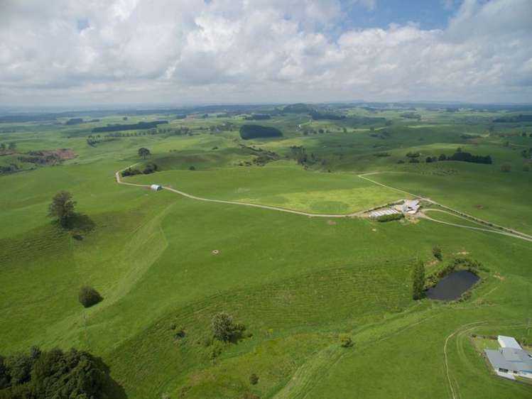 438 Waotu South Road Putaruru_9