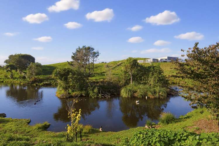 104 Harakeke Road Te Horo_37