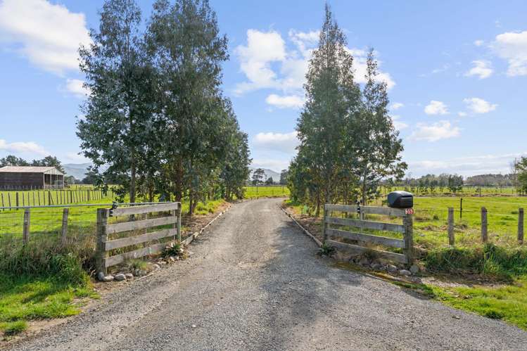 353 Hughes Line Carterton_20