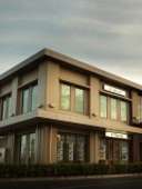 Professionals Manukau