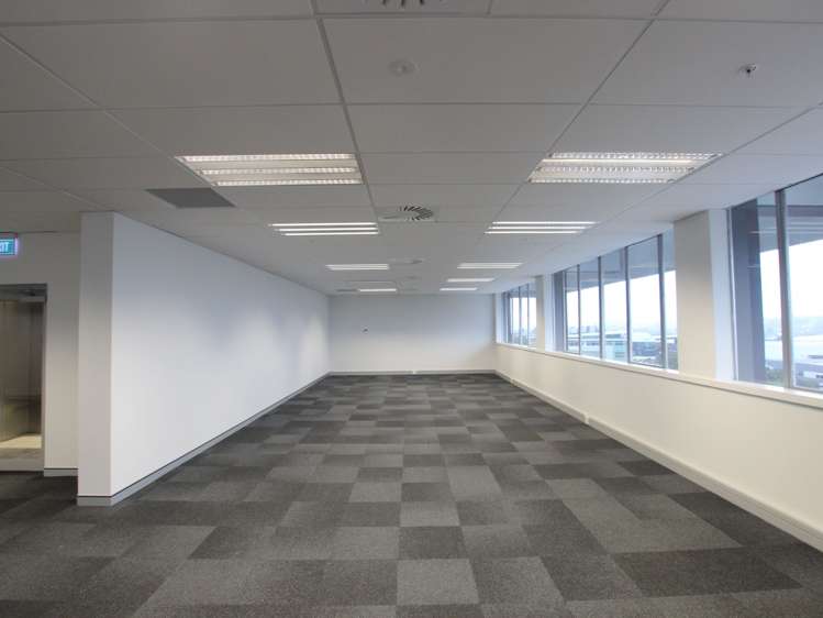 45 O'Rorke Road Penrose_7