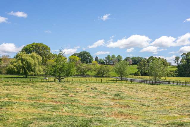 231 Matai Road Matamata_1