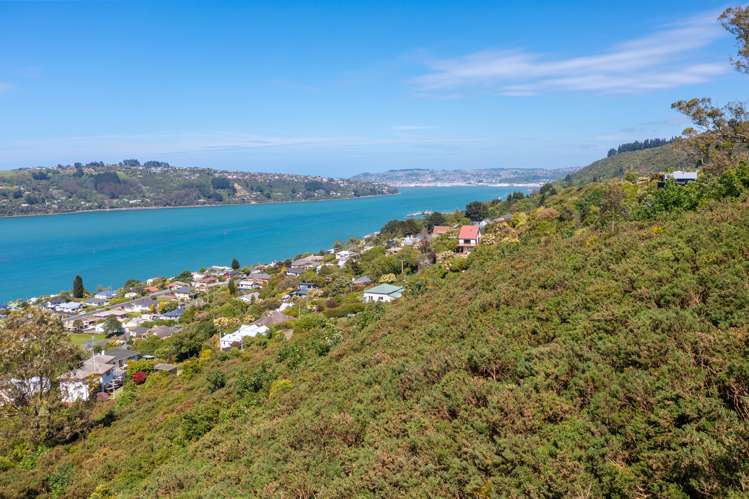 74 Kauri Street Ravensbourne_4