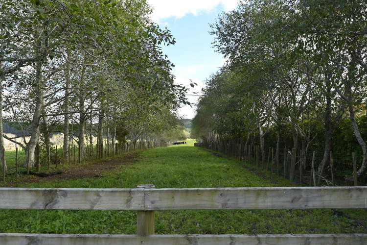 480 Coatesville-Riverhead Highway Coatesville_4