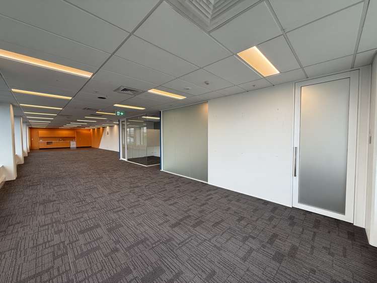 103 Carlton Gore Road Newmarket_6