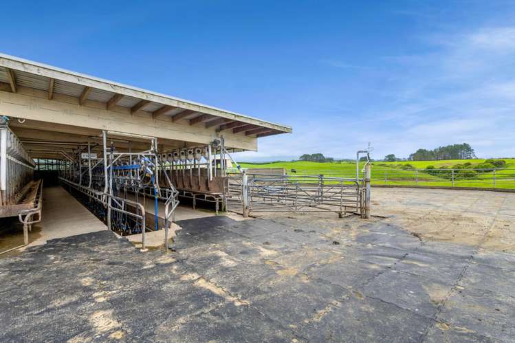 358 Opunake Road Cardiff_16