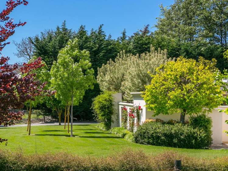 187 Middle Renwick Road Springlands_17