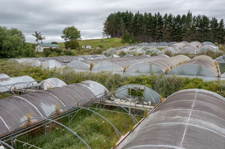 1190b Wharehine Road Port Albert_20