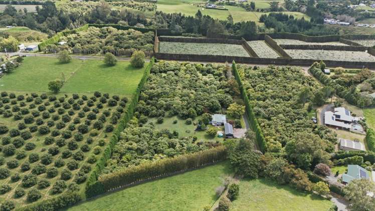 151a Hereford Road Oropi_22