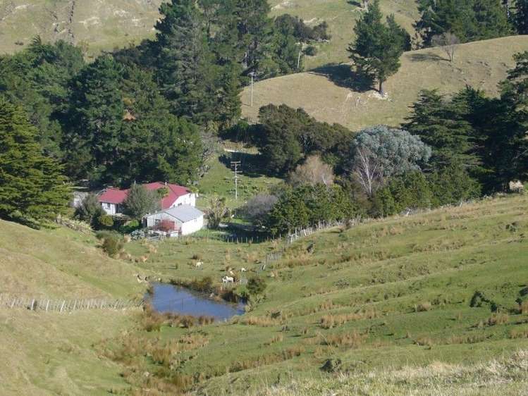 419 Spur Road Pongaroa_17