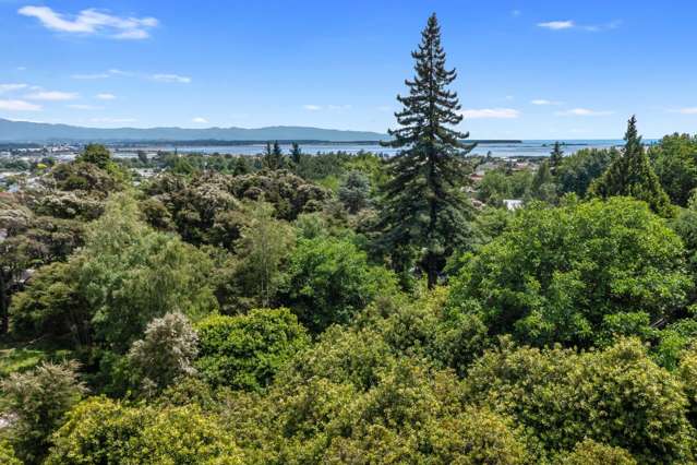 51 Selbourne Avenue Richmond_2