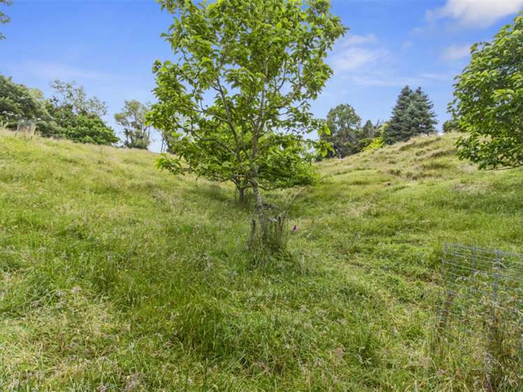 488 Tapuwae Road Benneydale_7