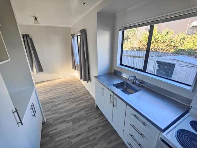 1B Hawk Street Frankton_4