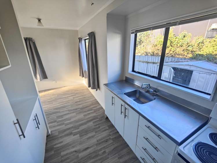 1B Hawk Street Frankton_4