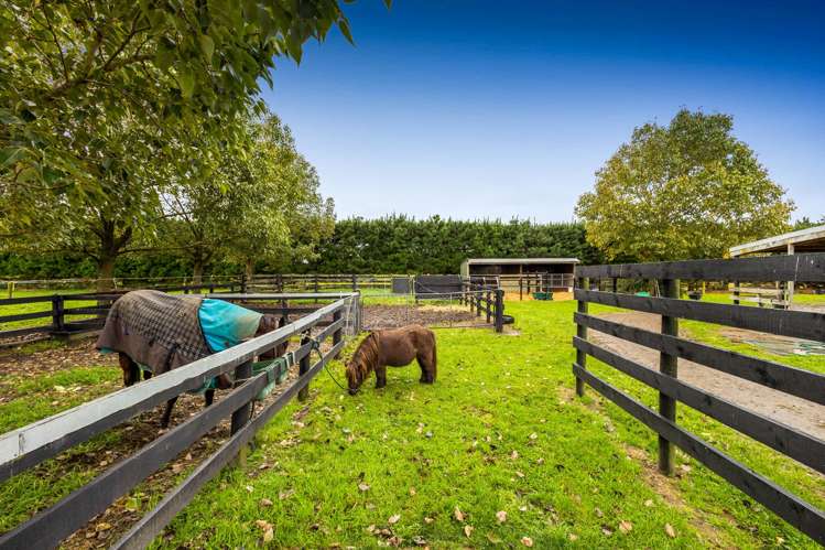 2122 Wards Road, Charing Cross, Darfield_23