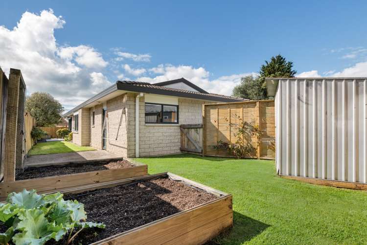 117 Matapihi Road Mt Maunganui_3