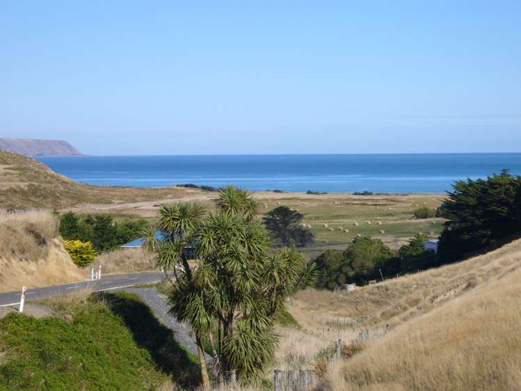 87 Whangaimoana Beach Road Pirinoa_15