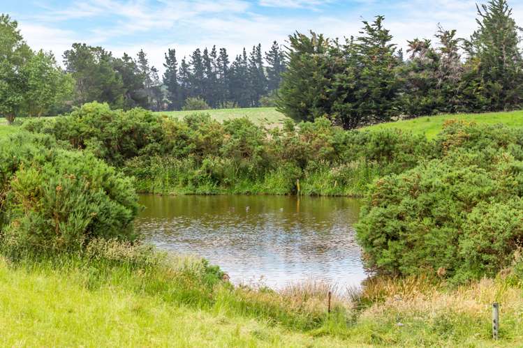 Steeles Road Hororata_12