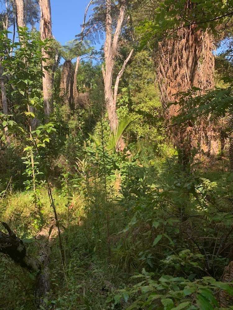 129 Bays Road Orere Point_5