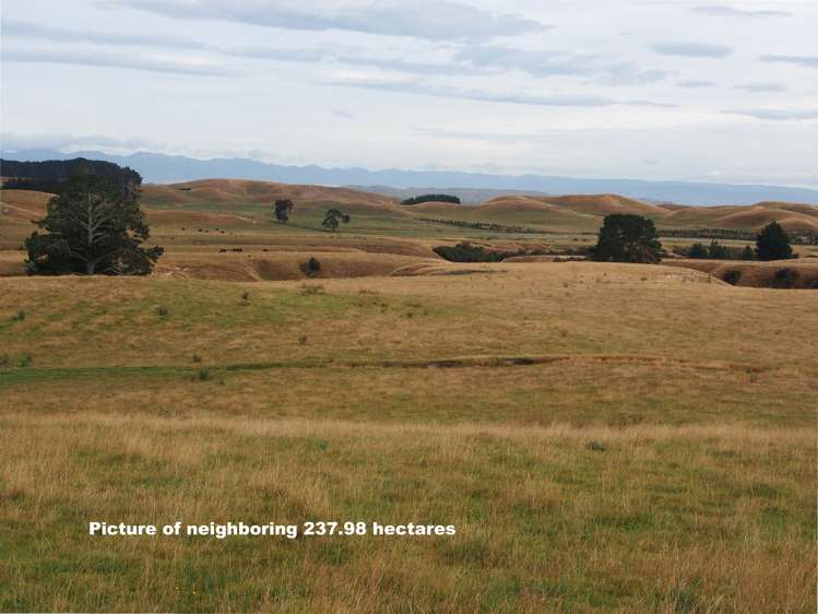 746 Te Awa Road Central Hawkes Bay Coastal_18