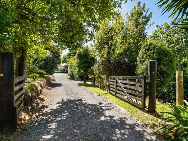 8 Pine Ridge Lane Aongatete_5