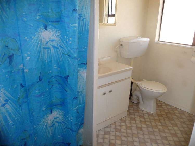 3/124 Arapuni Street Putaruru_9