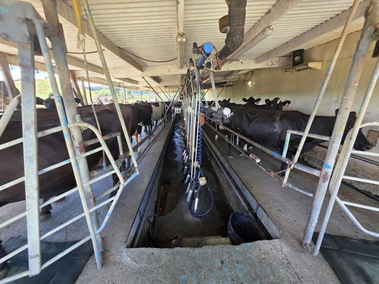 967 Ohura Road Aria_23