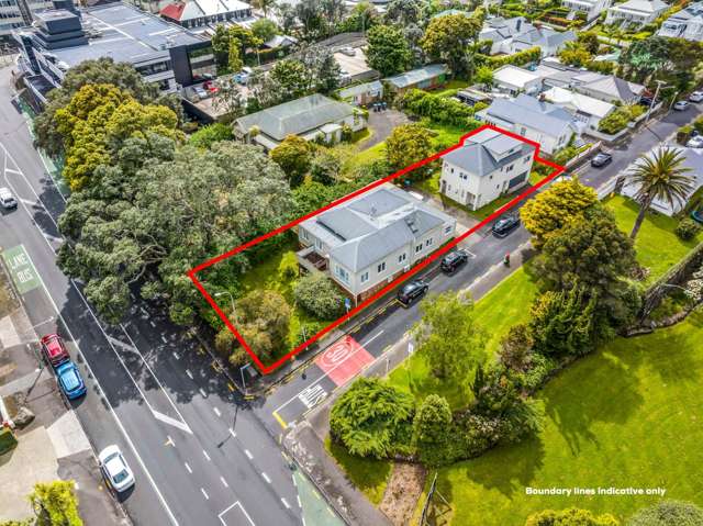 146 Dominion Road & 2A Lisnoe Avenue Mt Eden_2