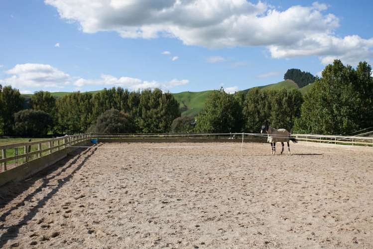 321 Newman Road Parawera_14