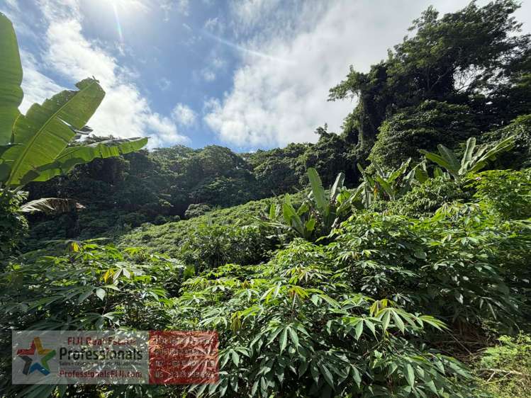 Address withheld Savusavu_3