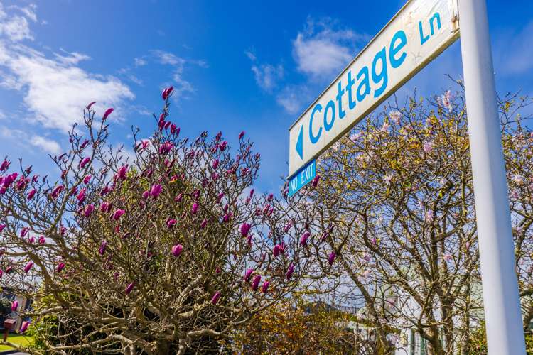 5 Cottage Lane Pukete_10