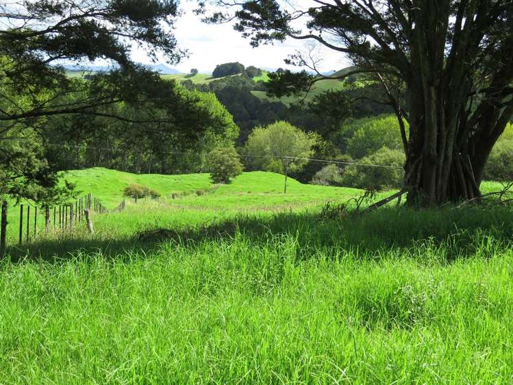 1877 Pipiwai Road Ruatangata_13