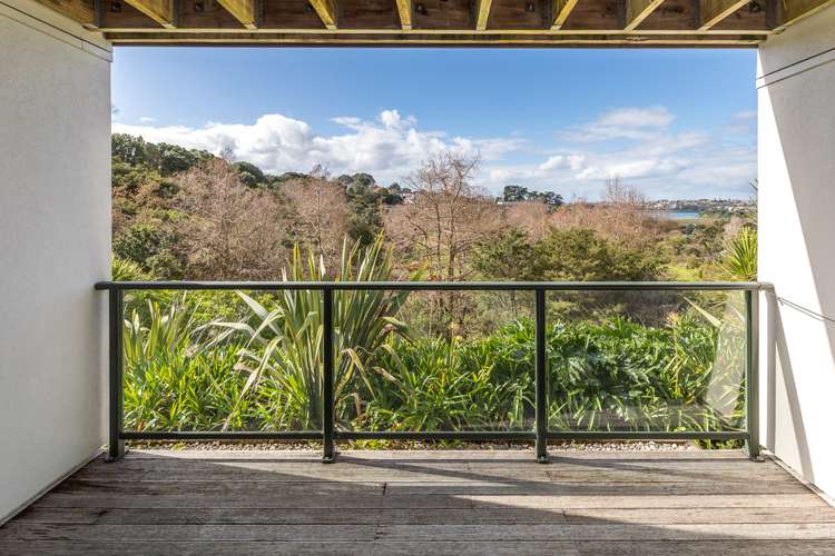 3m Laxon Terrace Remuera_17