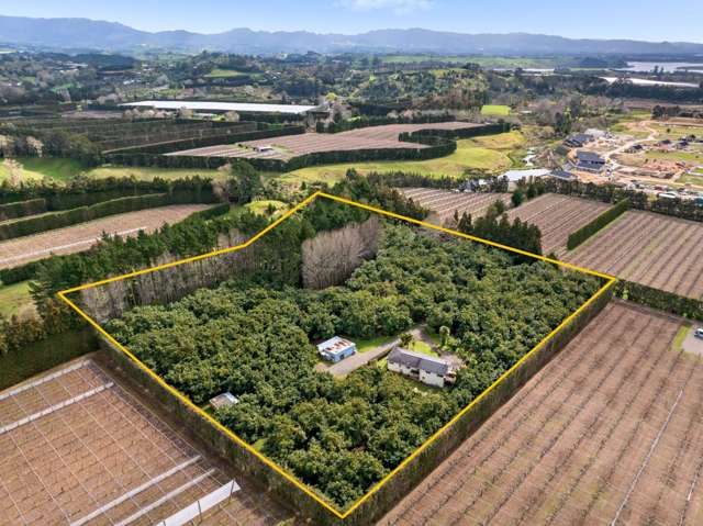 61 Prole Road Omokoroa_3