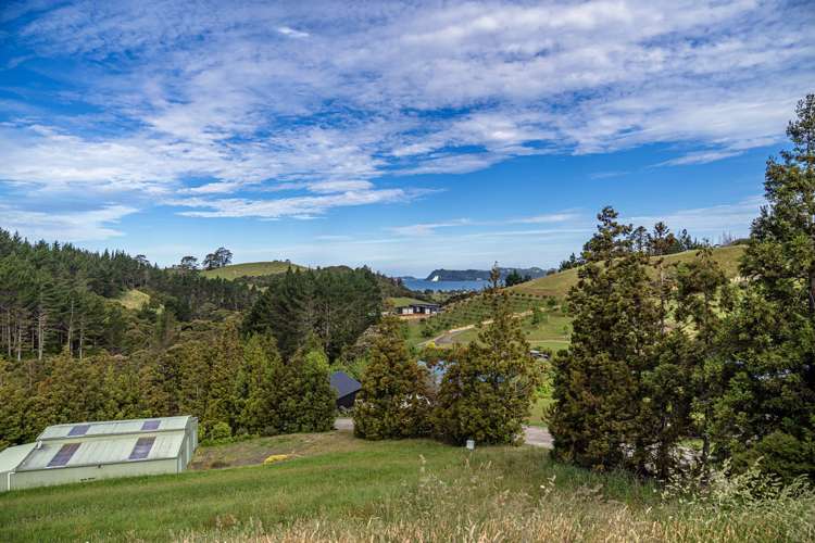 35 Spikes Way Whitianga_17