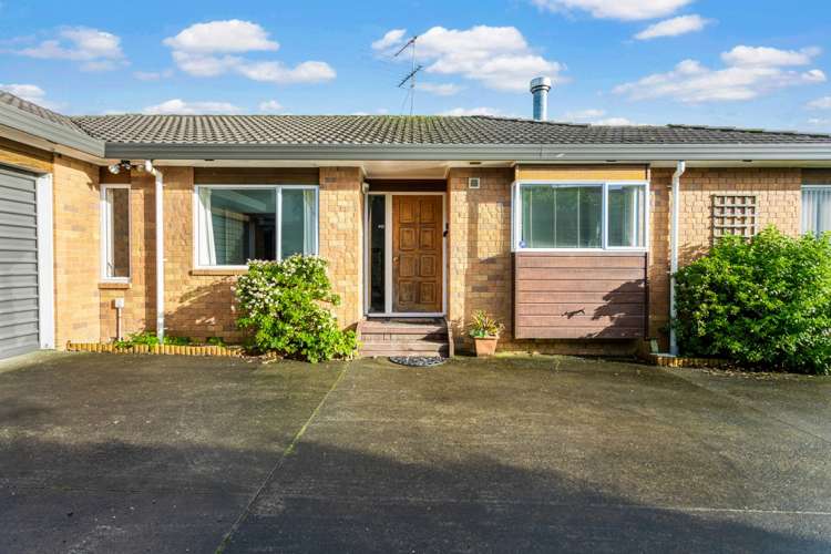 34a Haig Avenue Mount Roskill_1